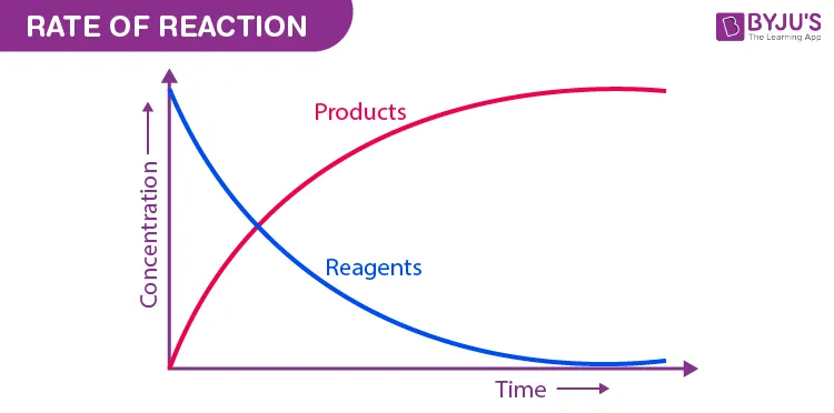 Concentration vs Time Graph